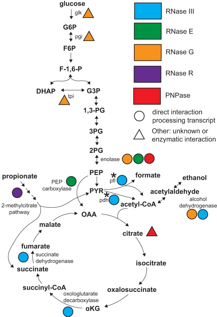 FIG 10 