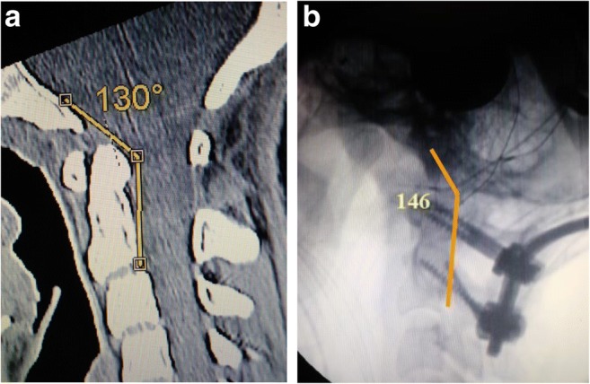 Fig. 6