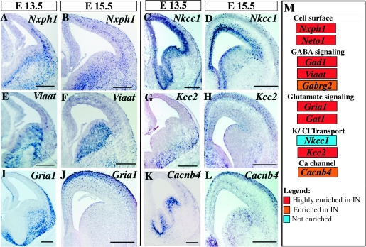 Figure 6.