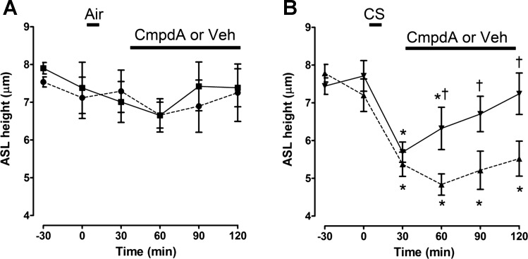 Fig. 9.