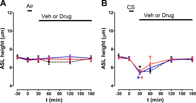 Fig. 11.