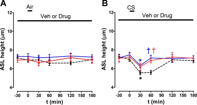 Fig. 10.