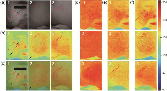 Fig. 3.