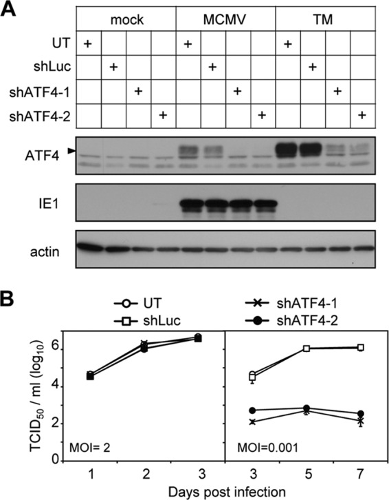 Fig 5