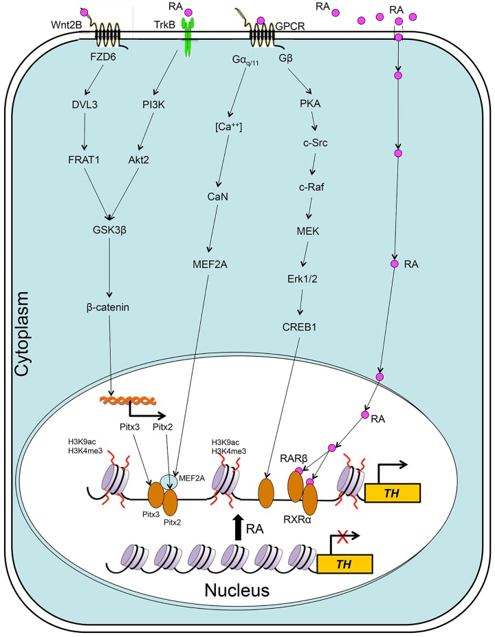 Fig 6