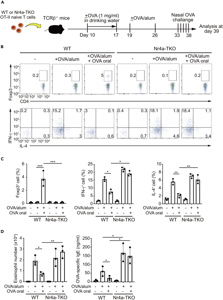 Figure 6