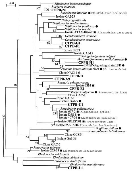 FIG. 2.