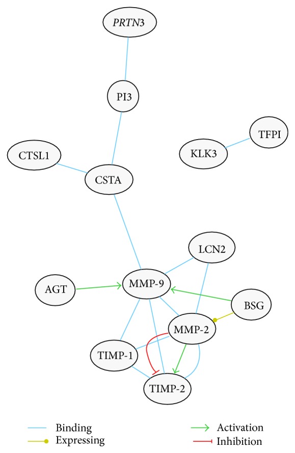 Figure 7