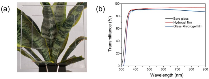 Figure 7
