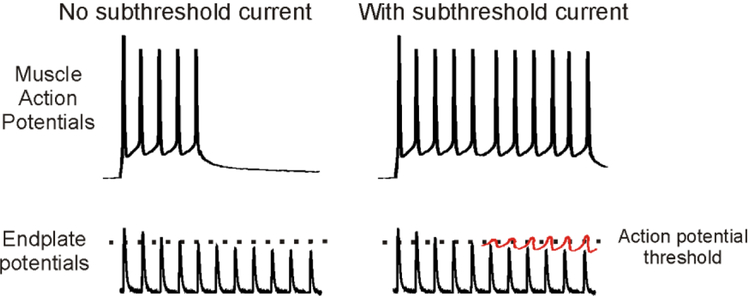 Figure 5: