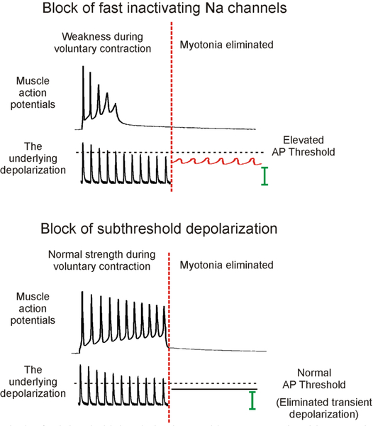 Figure 4: