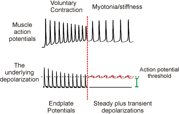 Figure 3: