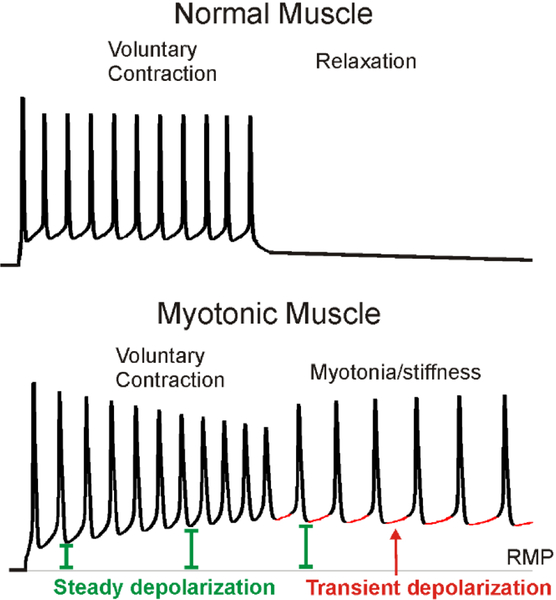 Figure 2: