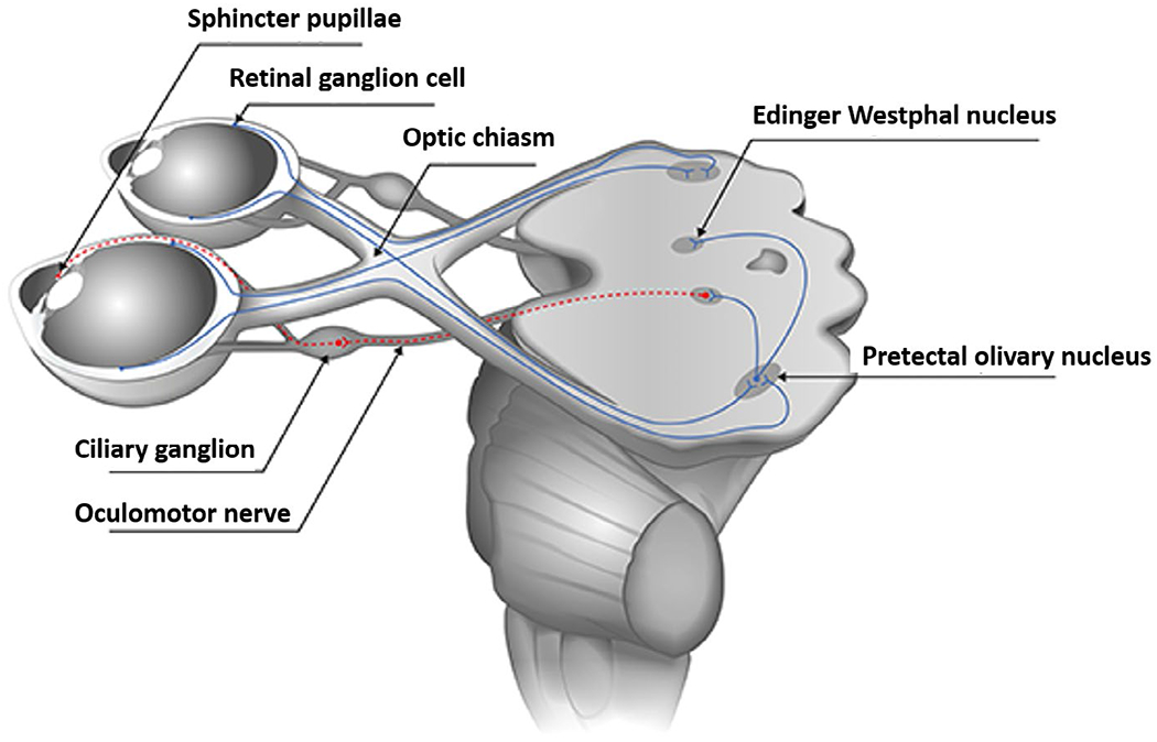 FIGURE 2