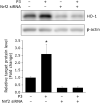 Fig. 6.