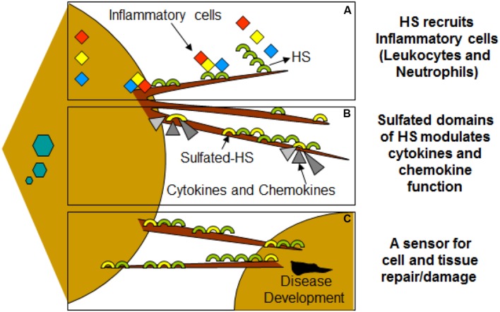 FIGURE 3