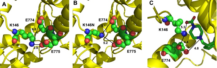 Figure 1—figure supplement 1.