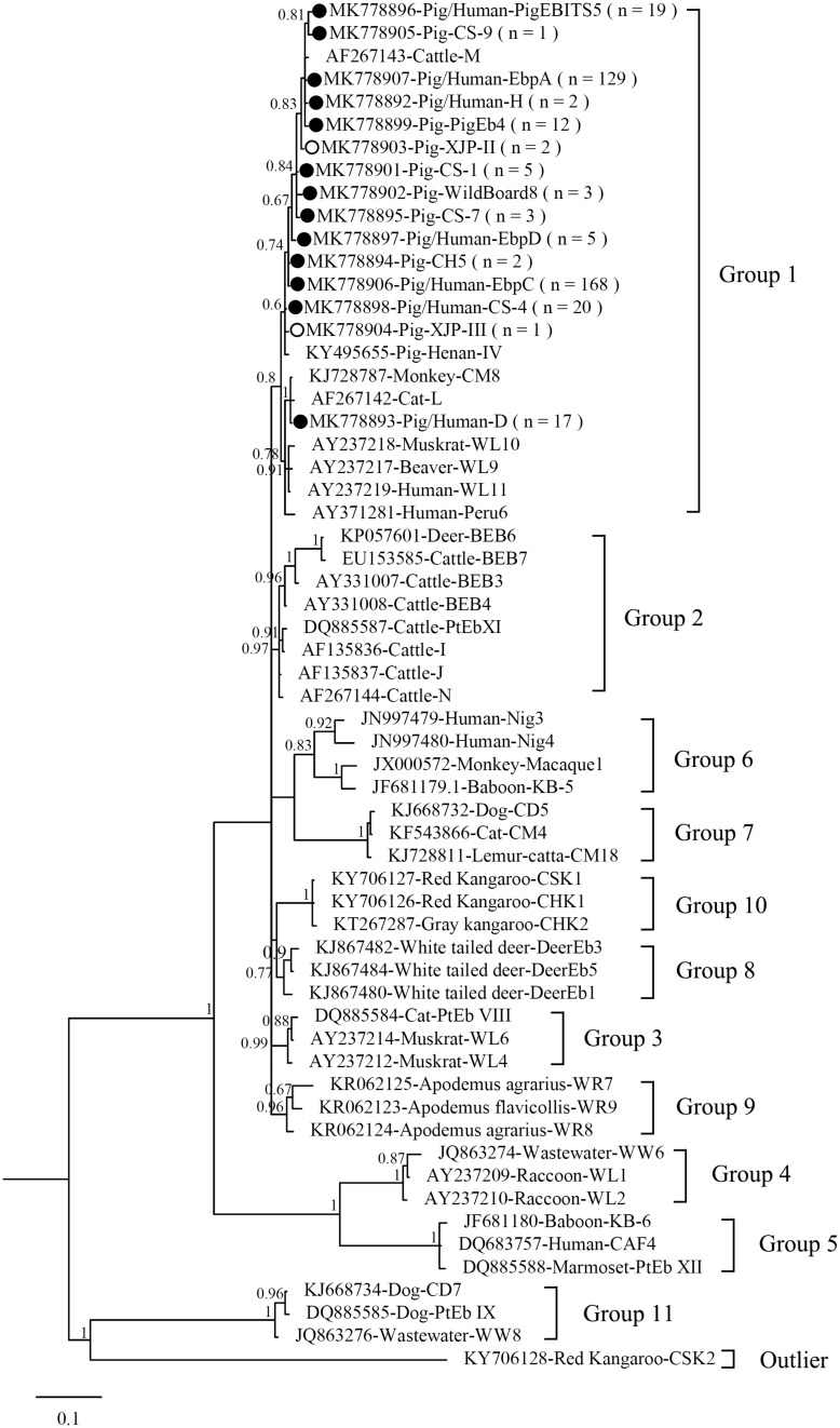 FIGURE 1