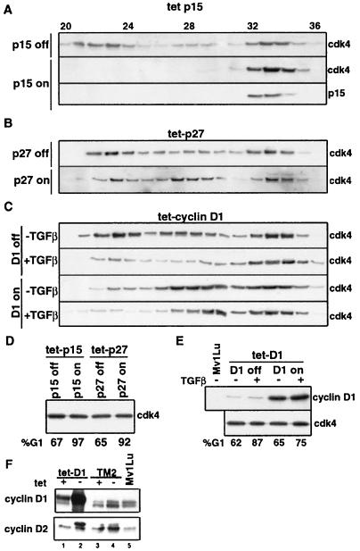 FIG. 6