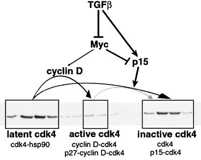 FIG. 8