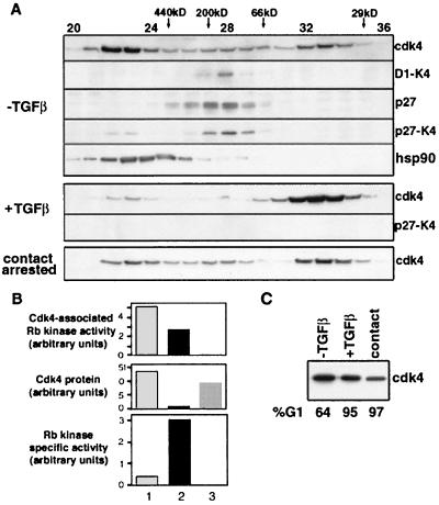 FIG. 5