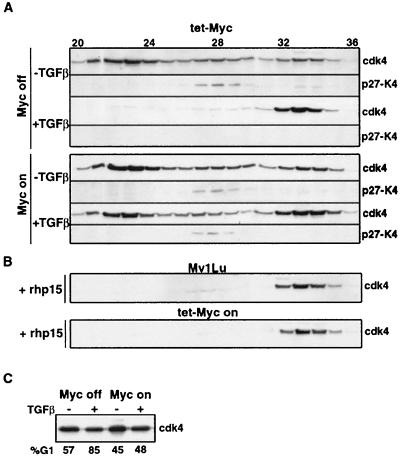 FIG. 7