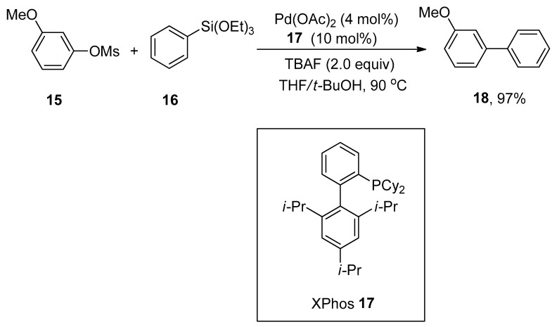 Scheme 5