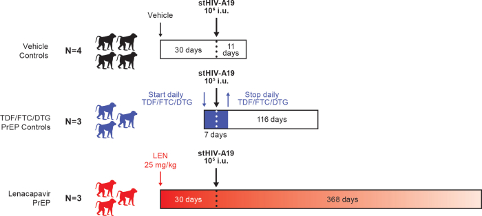 Supplementary Figure S1