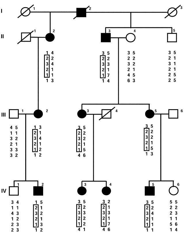 Figure  1