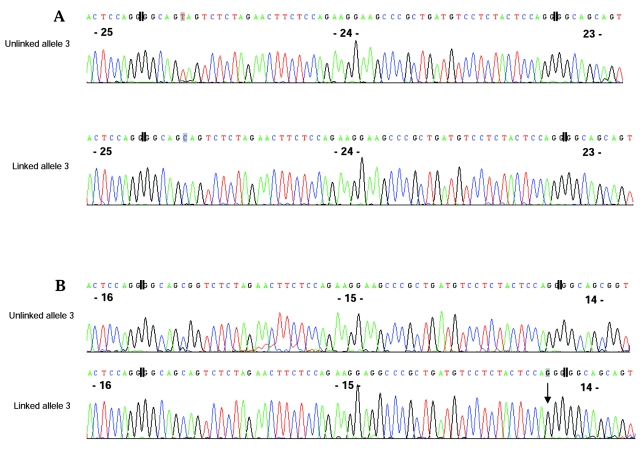 Figure  3