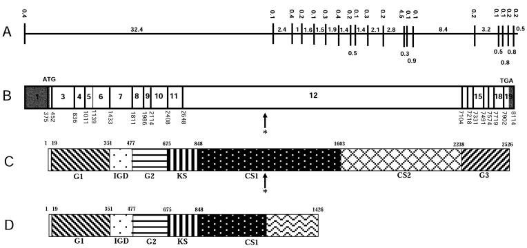 Figure  2