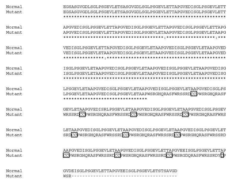 Figure  4