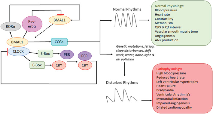 FIGURE 4