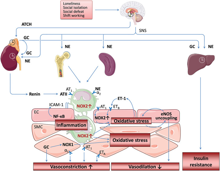 FIGURE 3