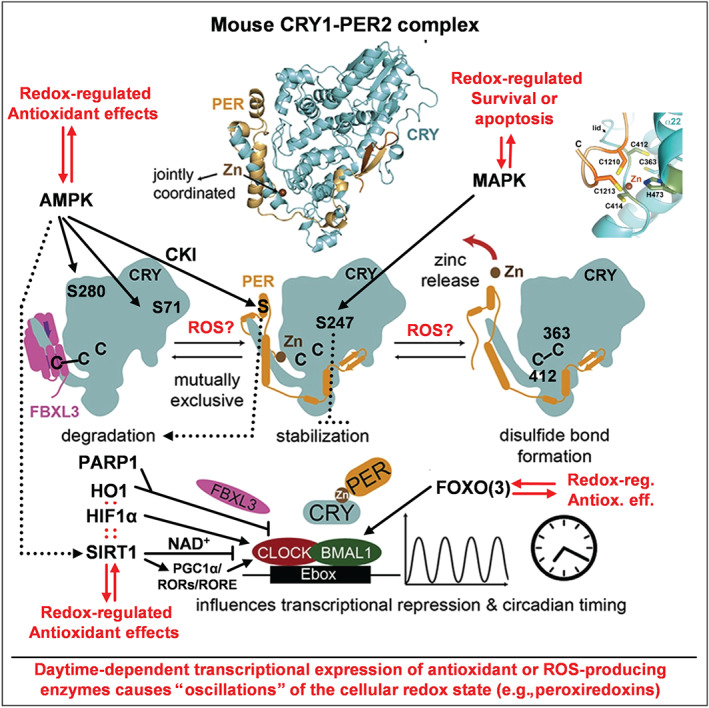 FIGURE 2