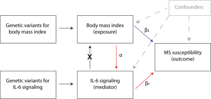 Figure 1