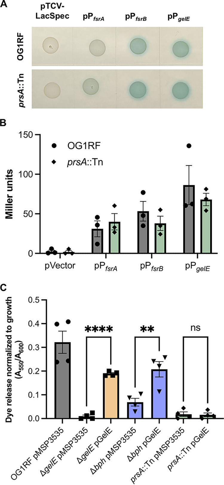 FIG 3