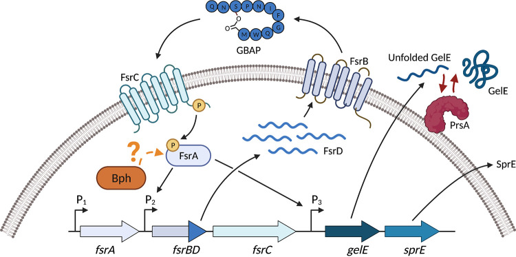 FIG 7