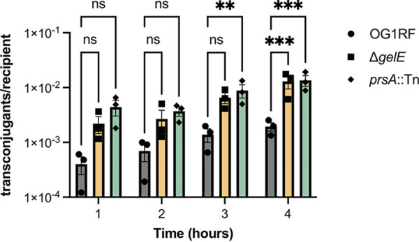 FIG 6