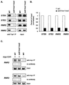 FIG. 8.