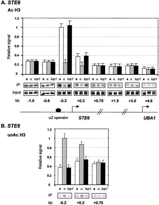 FIG. 6.