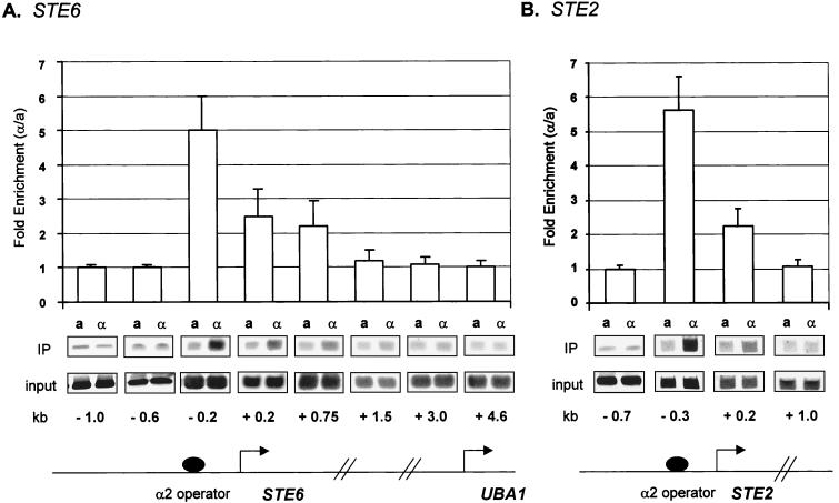 FIG. 1.