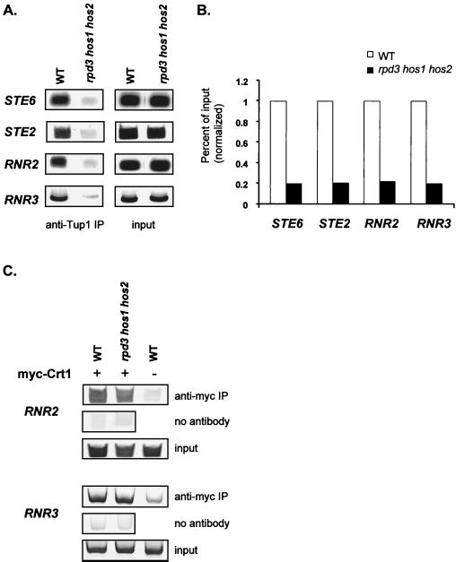 FIG. 8.