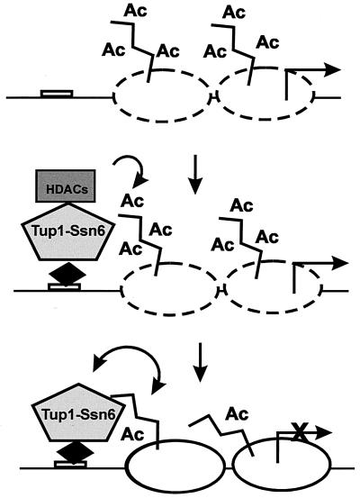 FIG. 9.