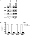 FIG. 5.