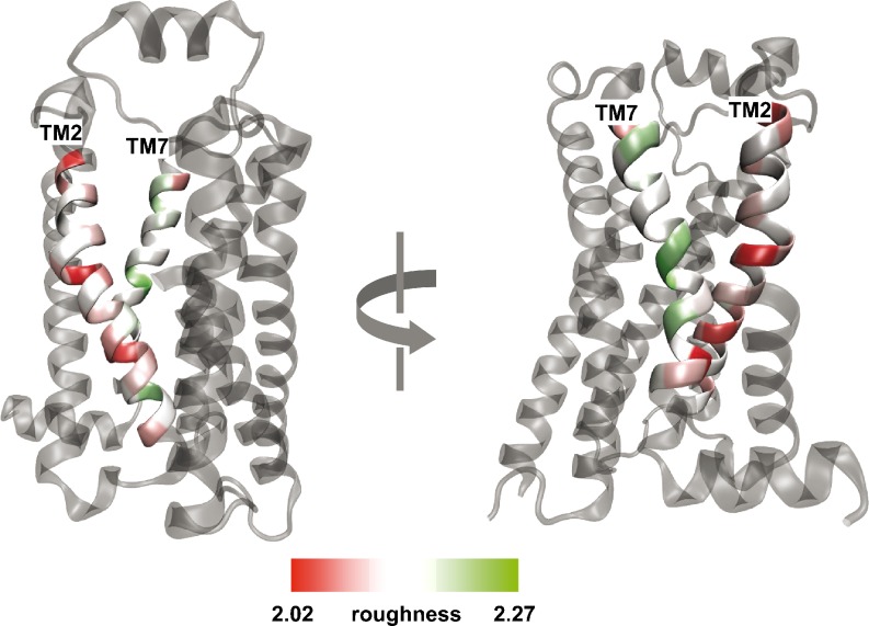 Fig. 3