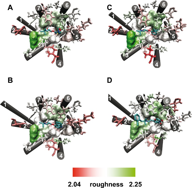 Fig. 6