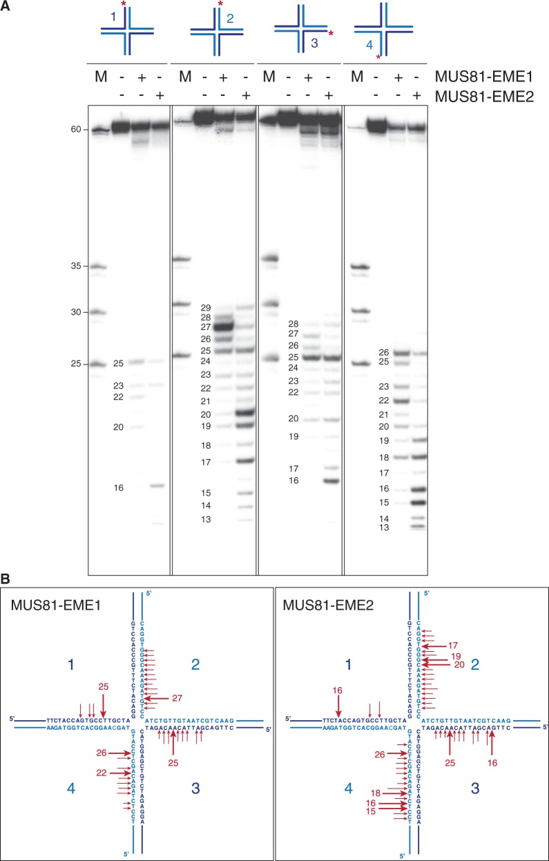 Figure 9.