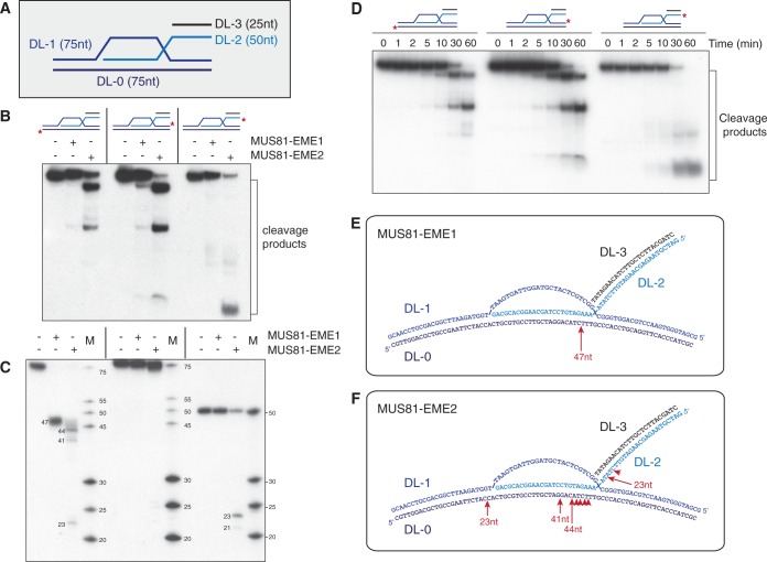 Figure 10.