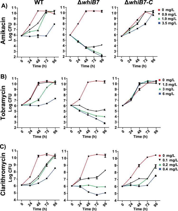 FIG 2